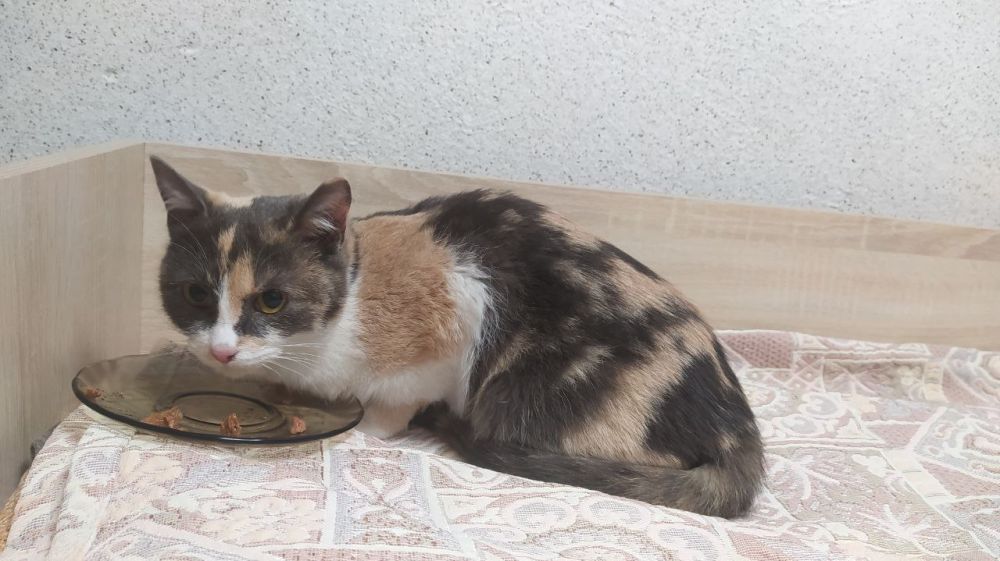 ���� ���������: ������� ������! ������� � ������� ���� �����