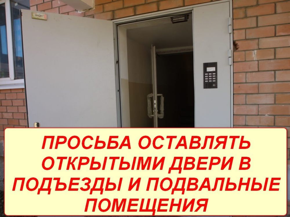  :  !.           .    : +79493026918,       ...