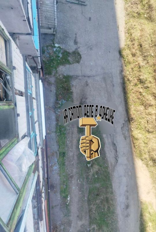   (  )