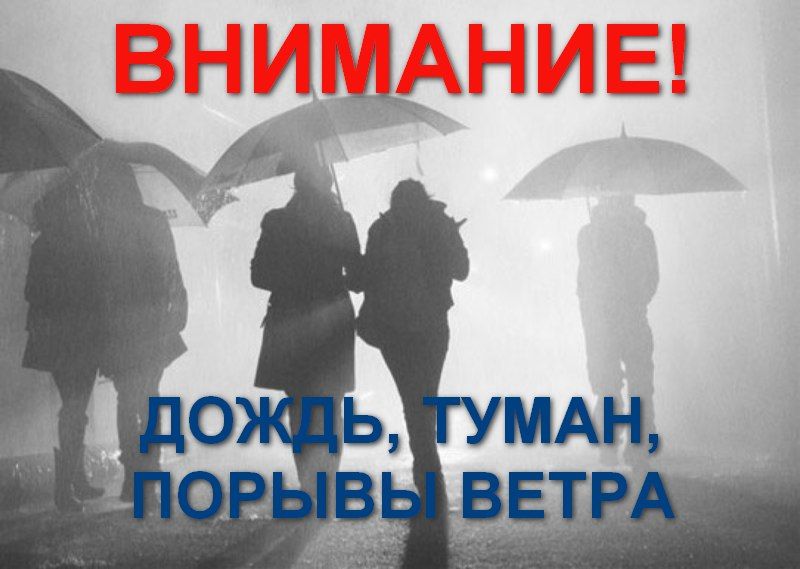 Роман Конев: МЧС ДНР: ожидается дождь, туман, порывы ветра