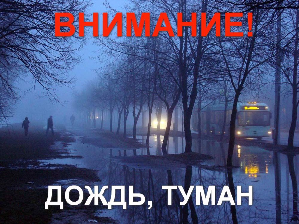 Роман Конев: МЧС ДНР: ожидается дождь, туман