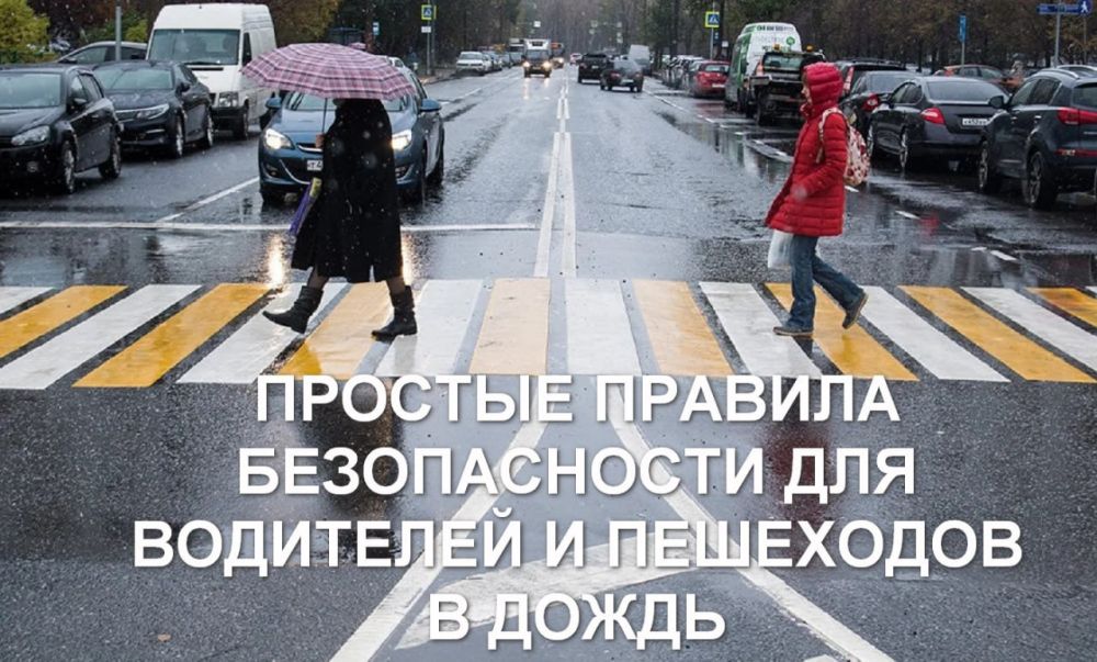 Роман Конев: Простые правила безопасности для водителей и пешеходов в дождь