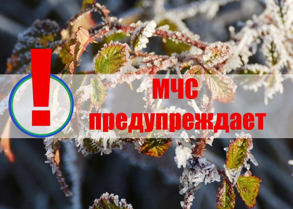 Роман Конев: МЧС ДНР: ожидаются заморозки на поверхности почвы