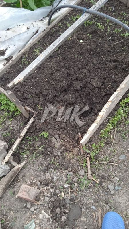  :         