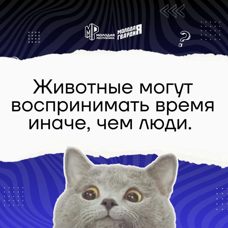   ,      ,  