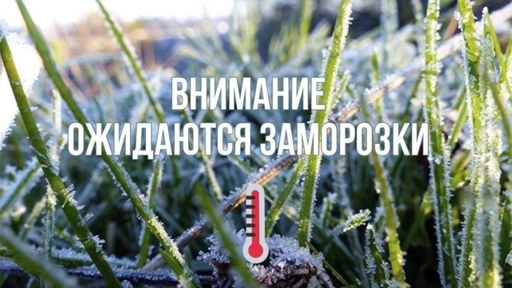 Роман Конев: МЧС ДНР: ожидаются заморозки