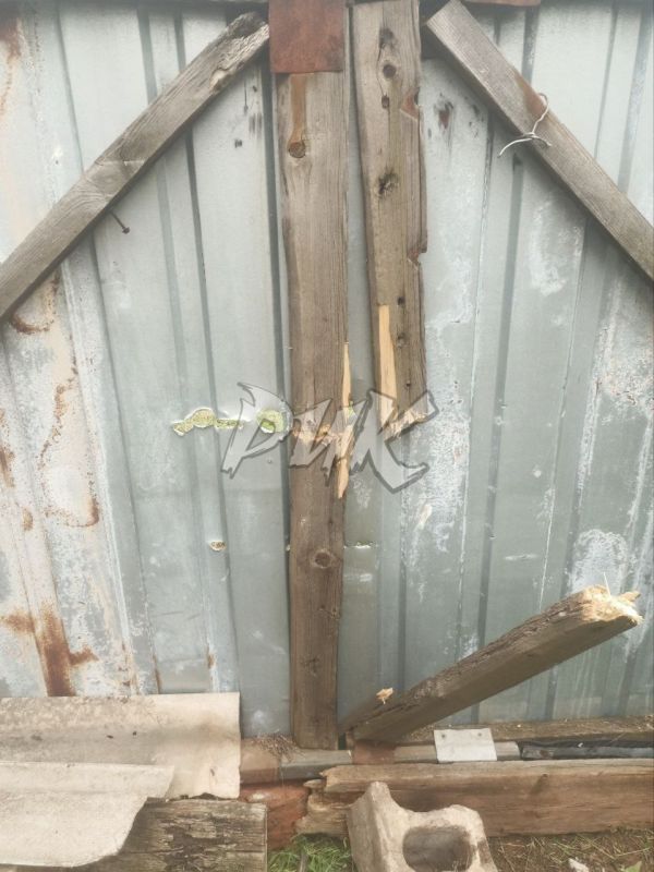  :      (-  )     17 