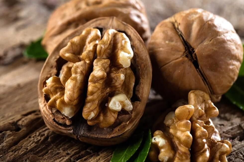 Ореховый бум в Донбассе: прогноз цветения и перспективы урожая