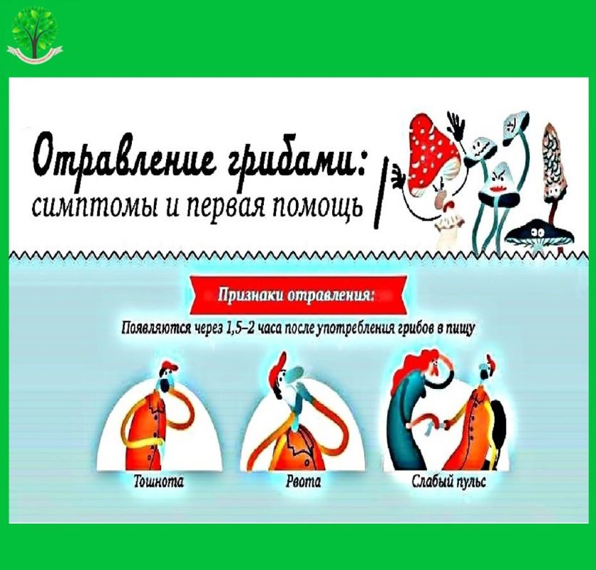 Иван Приходько: Основные признаки отравления грибами могут появиться уже через 1,5-2 часа после употребления их в пищу