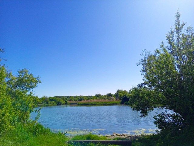 ВНИМАНИЕ! Купание запрещено!