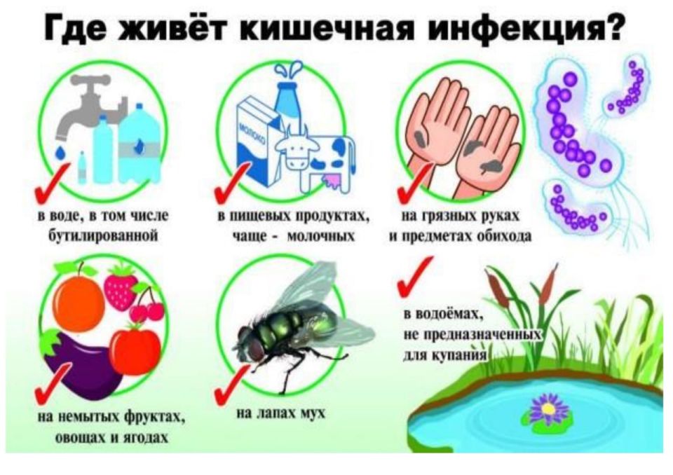 ���� ���������: � ������ ������ ����������� ������������� ����������� ��������� ������� ��������� ���������� ��� ����� ���� ���������