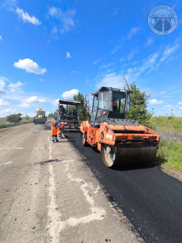 #свод_за_сутки #летнее_содержание #свод_за_сутки #летнее_содержание