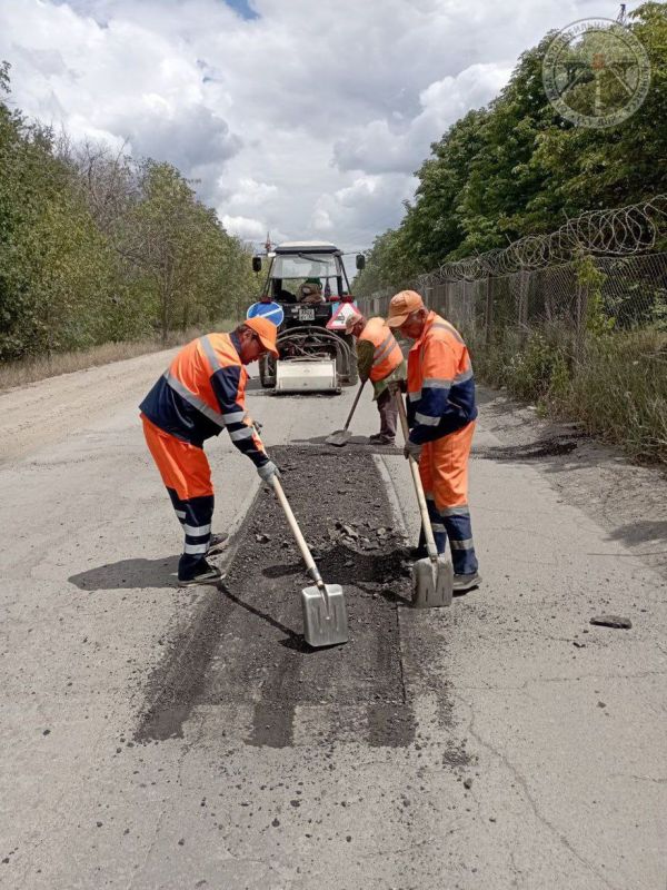 #свод_за_сутки #летнее_содержание #свод_за_сутки #летнее_содержание