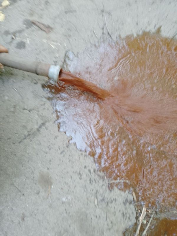 ����� �����: � ���������� ����� �� ������������ �������� ������������� ������� ������������ ��������� ���