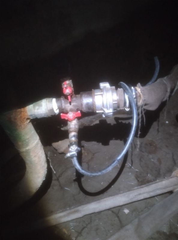 ����� �����: � ���������� ����� �� ������������ �������� ������������� ������� ������������ ��������� ���