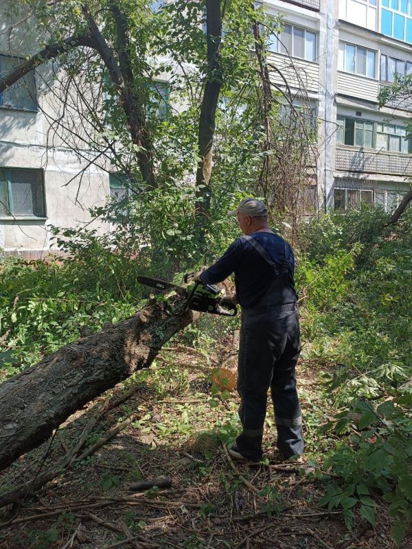 ����� �����: � ���� ����� �� ����� ��������� �������� � ��������