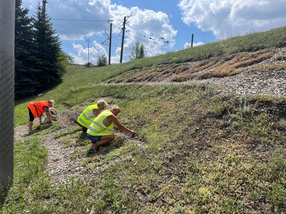 ����� �����: ������������� ��������� ����������� �������л ������������� ���������� ������ �������� �������� �������� ����������