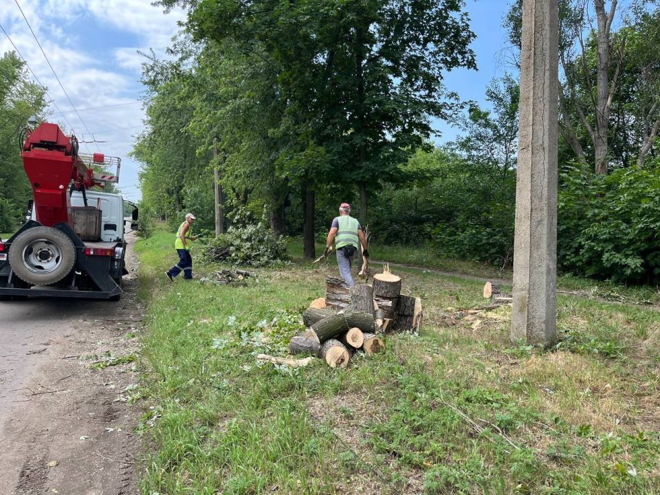 ����� �����: ������������� ��������� ����������� �������л ������������� ���������� ������ �������� �������� �������� ����������