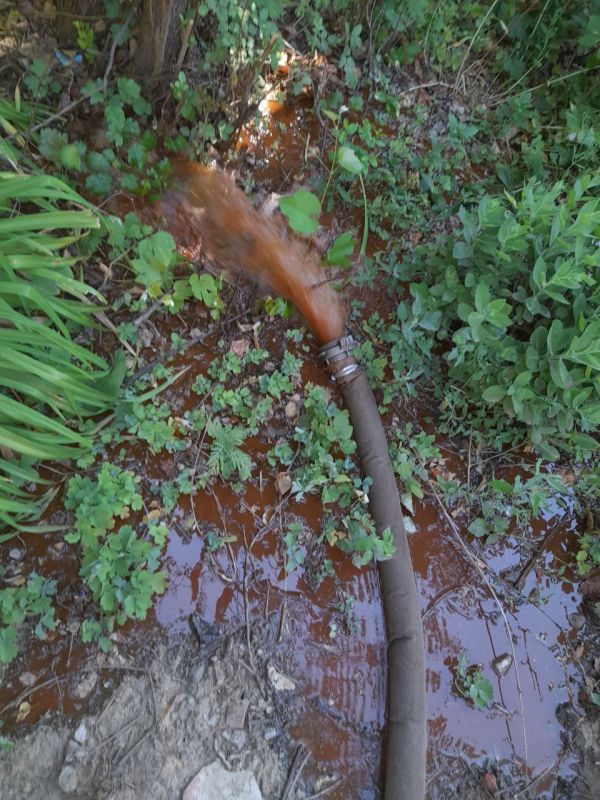 ����� �����: � ���������� ����� �� ������������ �������� ������������� ������� ������������ ��������� ���