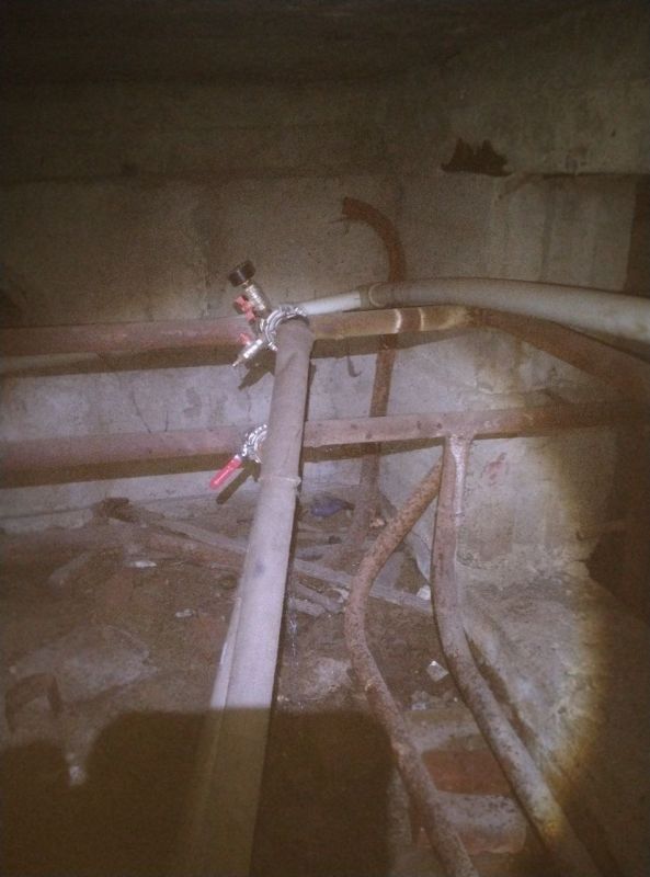 ����� �����: � ���������� ����� �� ������������ �������� ������������� ������� ������������ ��������� ���