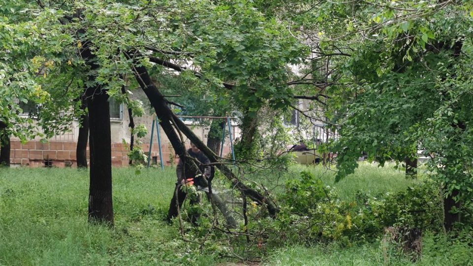 ����� �����: � ���� ����� �� ����� ��������� �������� � ��������