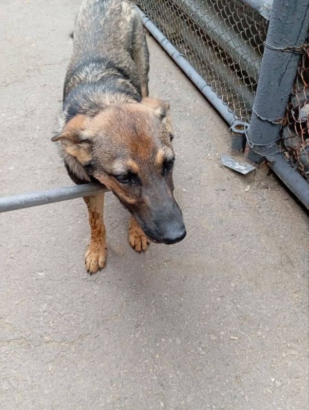 ����� �����: ������������� ��������� ����������� �������л ������������� ���������� ������ �������� �������� �������� ����������