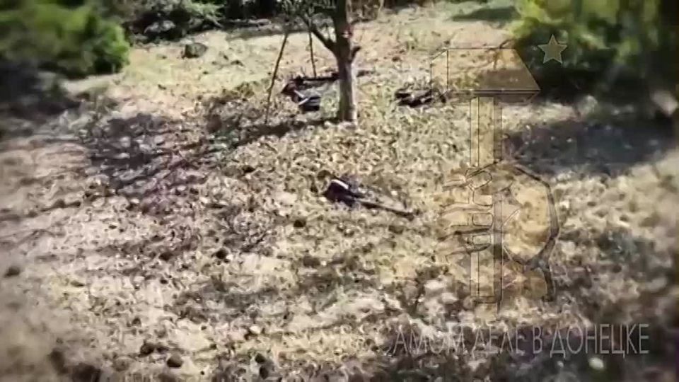  ,     ,                   504 