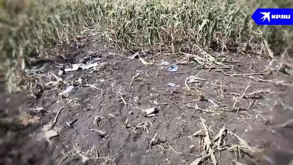 Система РЭБ «Купол Донбасса» за неделю перехватила более 800 дронов ВСУ в ДНР