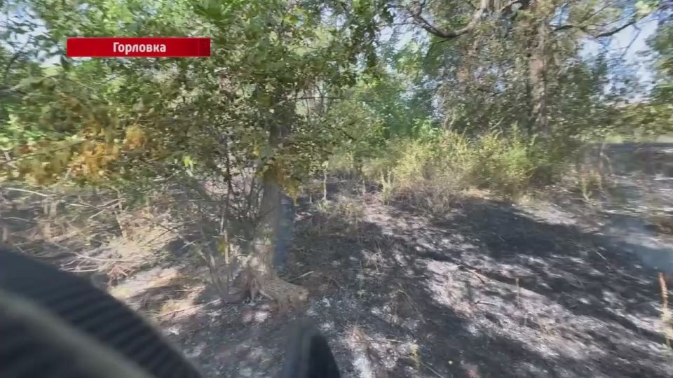 Пожарный надзор города Горловка напоминает: на территории ДНР введен противопожарный режим