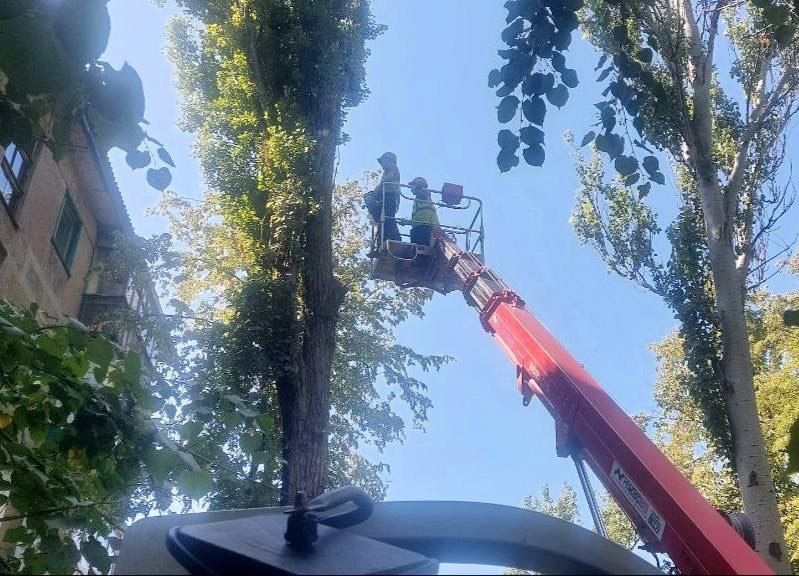 МУП «Простор» ежедневно выполняет все необходимые работы по содержанию городских улиц МУП «Простор» ежедневно выполняет все необходимые работы по содержанию городских улиц