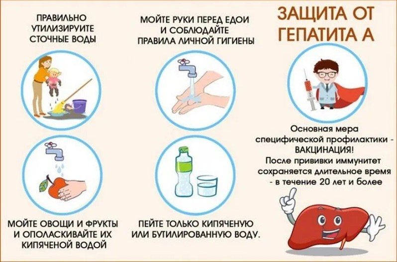 Профилактика вирусных гепатитов А и Е