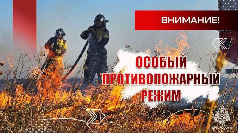 82 пожара произошли в экосистеме ДНР за минувшие сутки