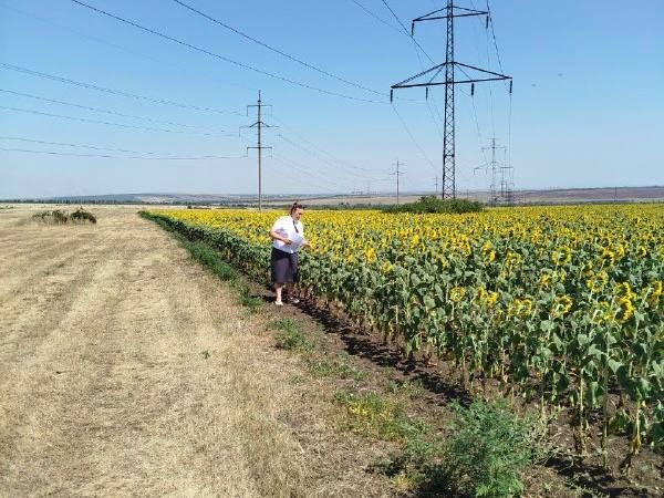 30 июля сотрудники отдела государственного земельного надзора и контроля в области обращения пестицидов и агрохимикатов по ДНР Управления Россельхознадзора по ДНР и ЛНР провели профилактические визиты по заявлению ИП... 30 июля сотрудники отдела государственного земельного надзора и контроля в области обращения пестицидов и агрохимикатов по ДНР Управления Россельхознадзора по ДНР и ЛНР провели профилактические визиты по заявлению ИП...