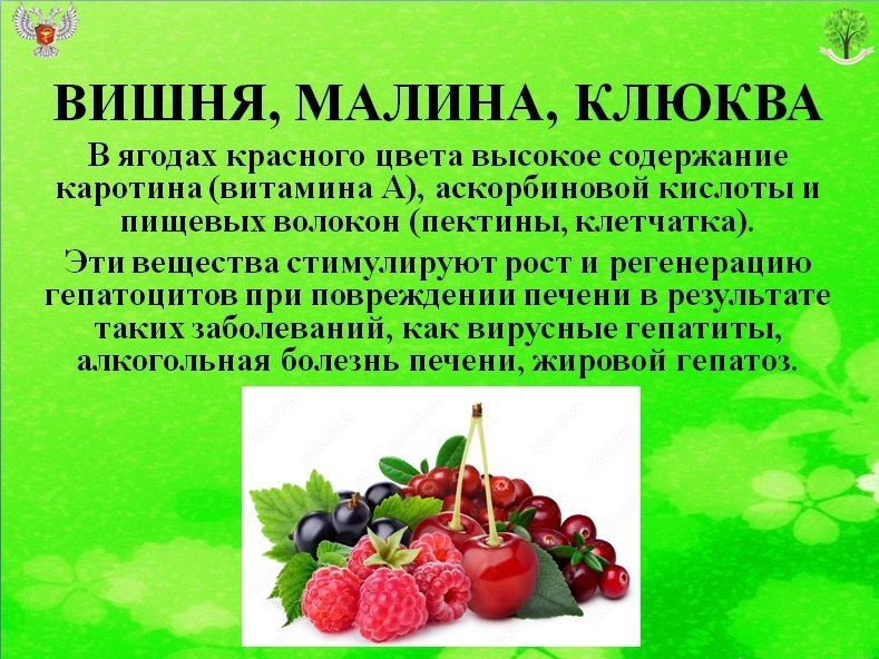 Иван Приходько: КАКИЕ ПРОДУКТЫ "ЛЮБИТ" ПЕЧЕНЬ Иван Приходько: КАКИЕ ПРОДУКТЫ "ЛЮБИТ" ПЕЧЕНЬ