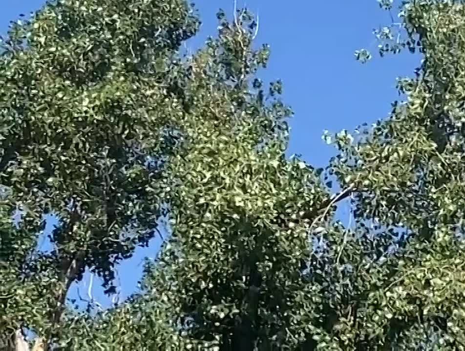 Алексей Гавриш: БПЛА над Калининским районом Горловки