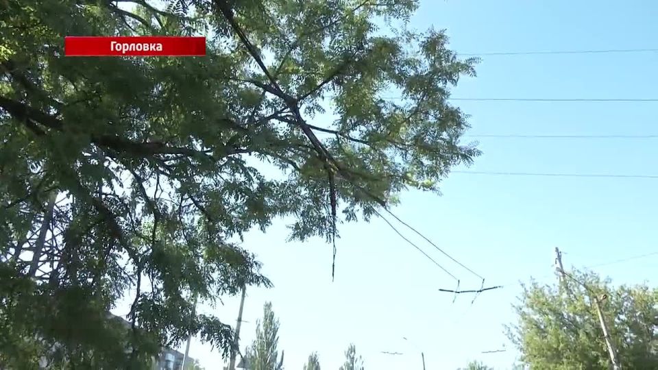 Что необходимо для восстановления троллейбусных путей в жилом массиве «Строитель»?