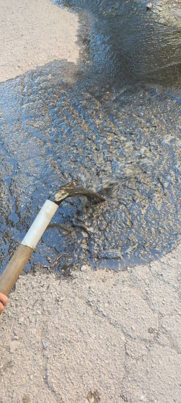 Роман Конев: О выполнении работ по обязательной промывке внутридомовой системы центрального отопления МКД Роман Конев: О выполнении работ по обязательной промывке внутридомовой системы центрального отопления МКД