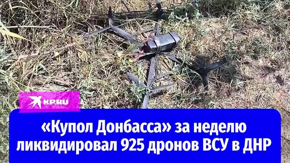 «Купол Донбасса» за неделю ликвидировал 925 дронов ВСУ в ДНР