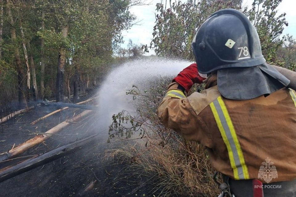 Оперативная обстановка за 4 августа в ДНР