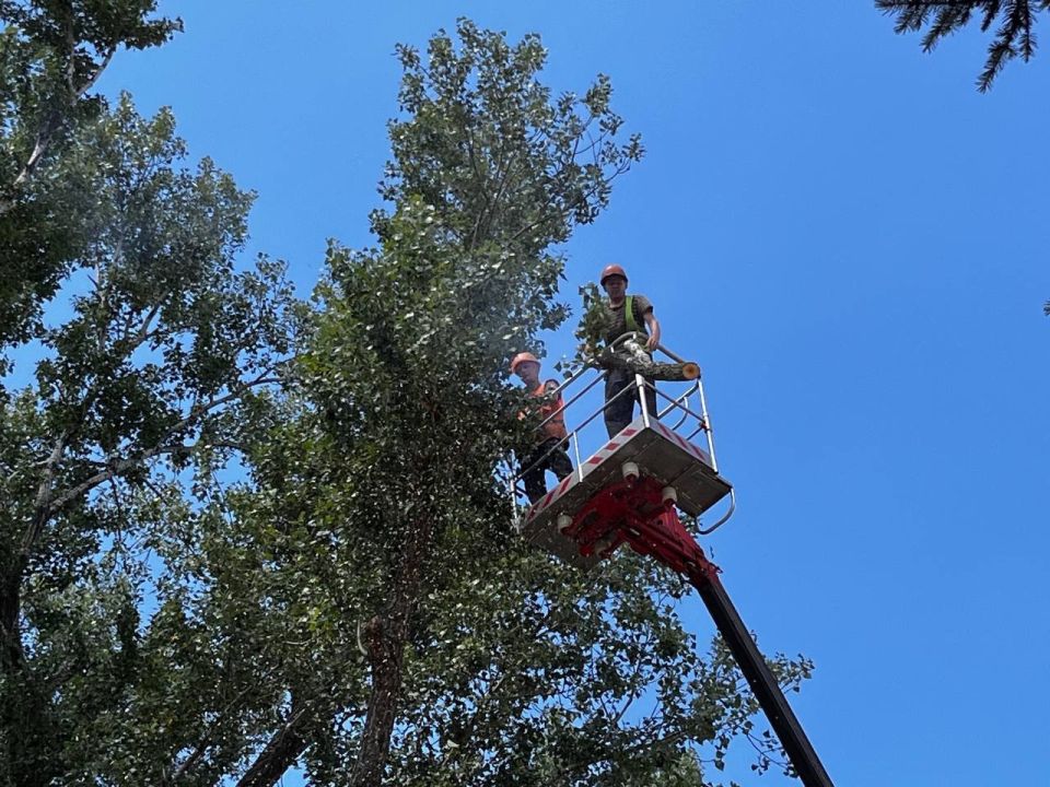МУП «Простор» ежедневно выполняет все необходимые работы по содержанию городских улиц МУП «Простор» ежедневно выполняет все необходимые работы по содержанию городских улиц