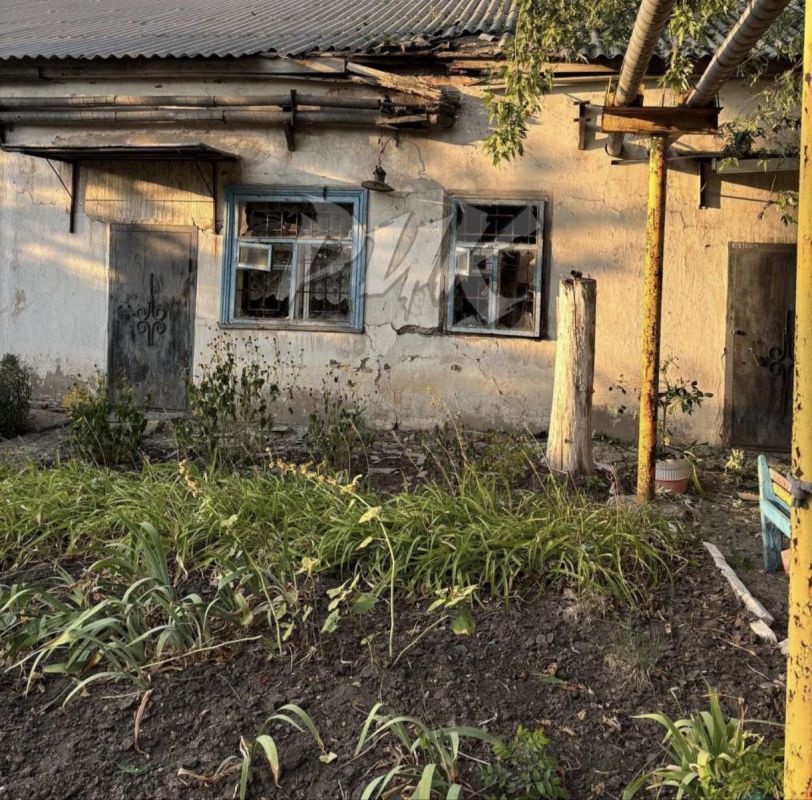 ���� ���������: � ���������� ����� ���� ���������� ����������� � ����������� ������ �������� ���������� ���� �� ����������