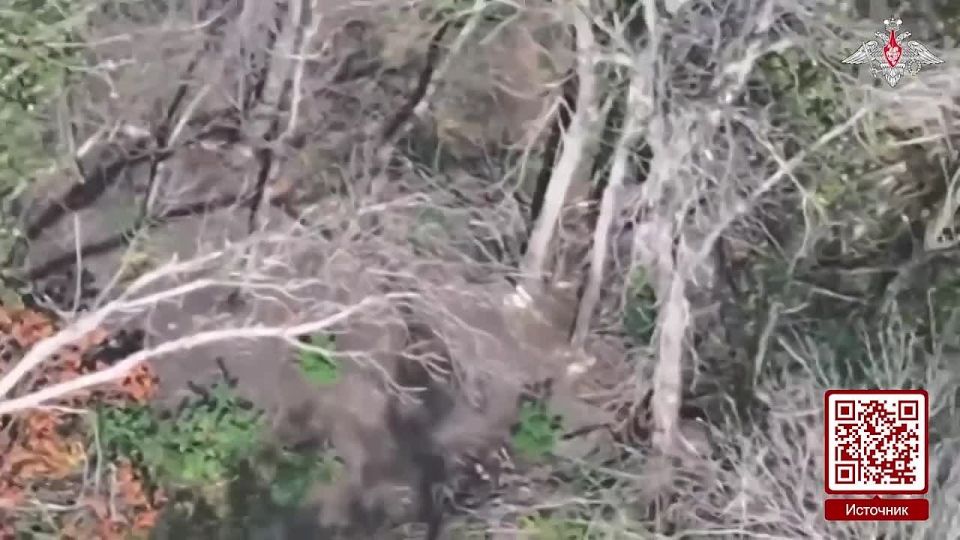 Новая неделя – новые кадры от наших дроноводов