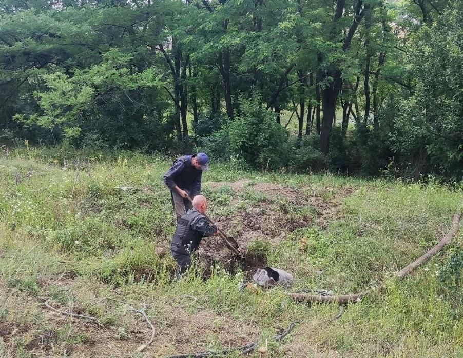 ���������� � ���������� ����������� ��������� ���������� ������ �� �������������� ������ ������������� � �������������