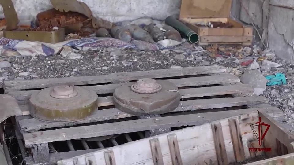 Росгвардейцы обнаружили оставленные при отступлении ВСУ боеприпасы в ДНР