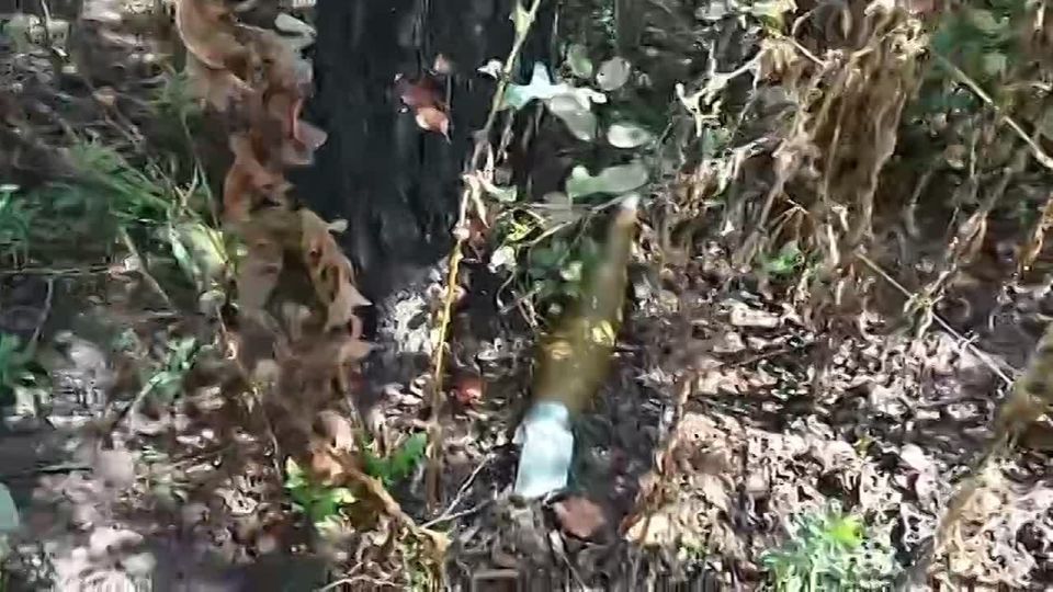 За неделю перехвачены 802 вражеских БПЛА