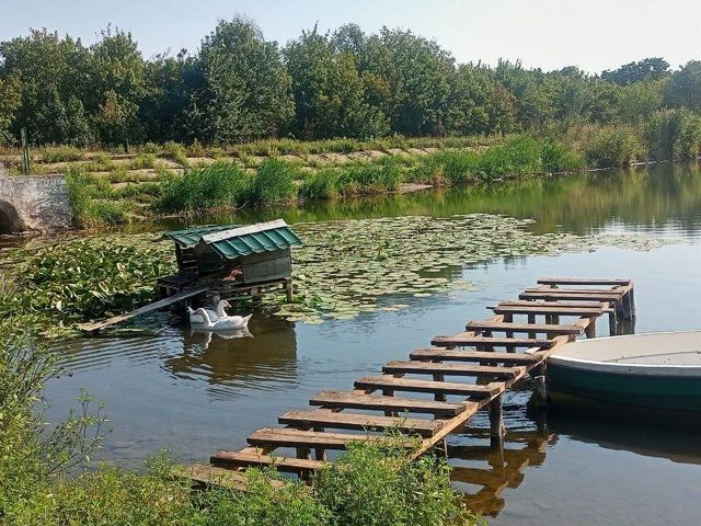ВНИМАНИЕ! Купание запрещено! ВНИМАНИЕ! Купание запрещено!