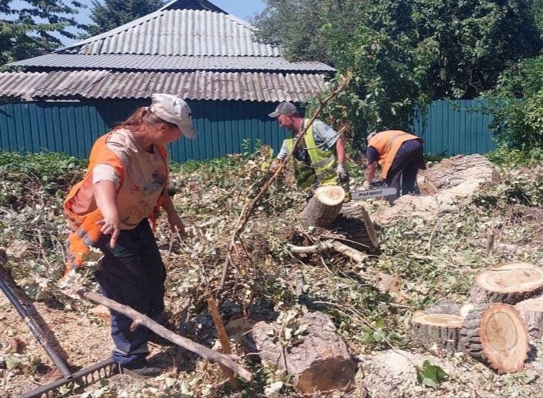МУП «Простор» ежедневно выполняет все необходимые работы по содержанию городских улиц МУП «Простор» ежедневно выполняет все необходимые работы по содержанию городских улиц