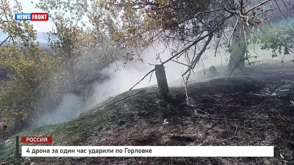 Алексей Гавриш: Многострадальную Горловку продолжают атаковать дроны украинских террористов