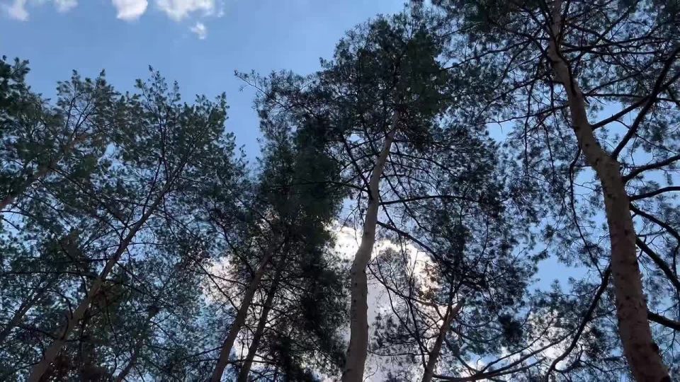 Молодёжка Горловки помогла в уборке территории храма