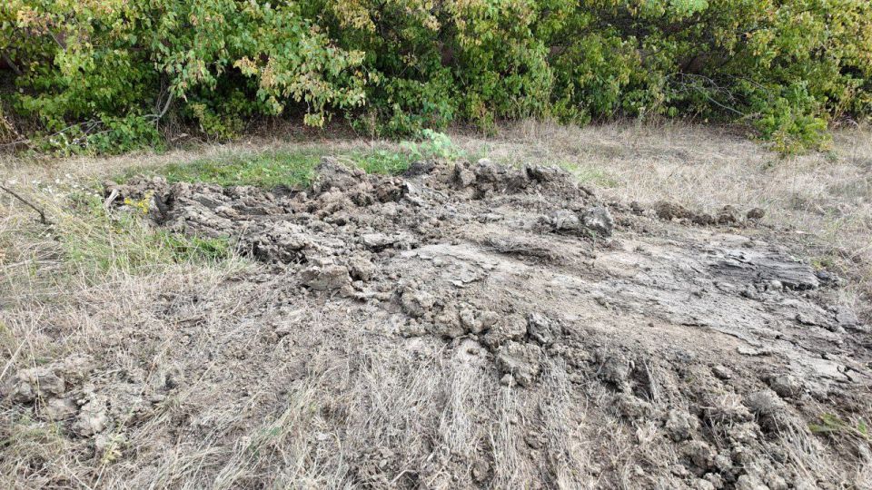 Алексей Дорофеев: Есть дни, которые заряжают энергией и верой в то, что мы всё делаем правильно Алексей Дорофеев: Есть дни, которые заряжают энергией и верой в то, что мы всё делаем правильно